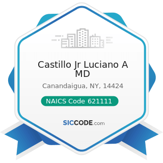Castillo Jr Luciano A MD - NAICS Code 621111 - Offices of Physicians (except Mental Health...