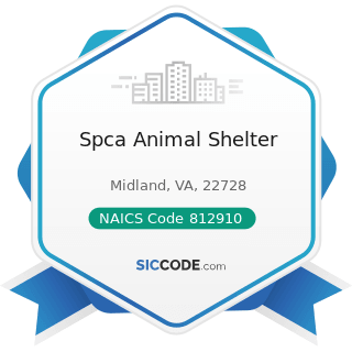 Spca Animal Shelter - NAICS Code 812910 - Pet Care (except Veterinary) Services