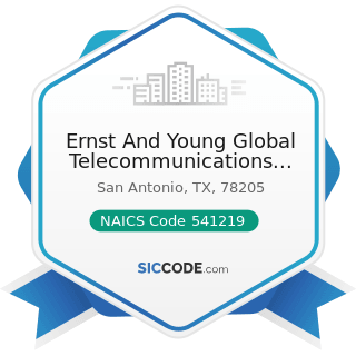 Ernst And Young Global Telecommunications Center - NAICS Code 541219 - Other Accounting Services
