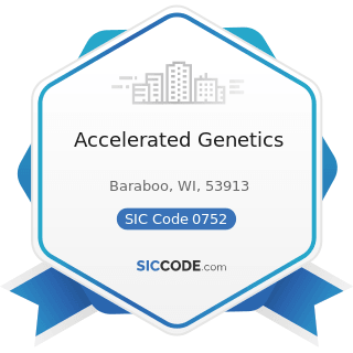 Accelerated Genetics - SIC Code 0752 - Animal Specialty Services, except Veterinary