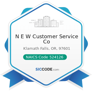 N E W Customer Service Co - NAICS Code 524126 - Direct Property and Casualty Insurance Carriers