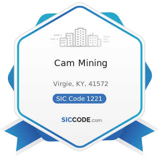 Cam Mining - SIC Code 1221 - Bituminous Coal and Lignite Surface Mining