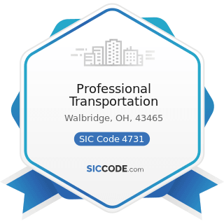 Professional Transportation - SIC Code 4731 - Arrangement of Transportation of Freight and Cargo