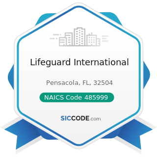 Lifeguard International - NAICS Code 485999 - All Other Transit and Ground Passenger...