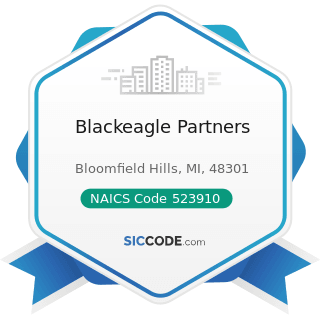 Blackeagle Partners - NAICS Code 523910 - Miscellaneous Intermediation