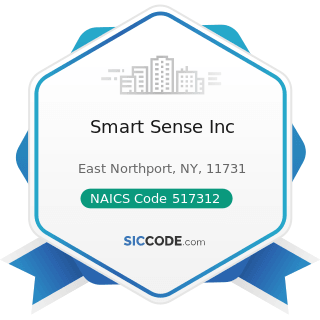 Smart Sense Inc - NAICS Code 517312 - Wireless Telecommunications Carriers (except Satellite)