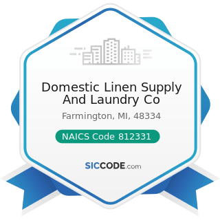 Domestic Linen Supply And Laundry Co - NAICS Code 812331 - Linen Supply