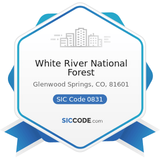 White River National Forest - SIC Code 0831 - Forest Nurseries and Gathering of Forest Products
