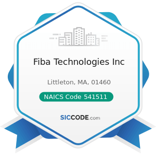 Fiba Technologies Inc - NAICS Code 541511 - Custom Computer Programming Services