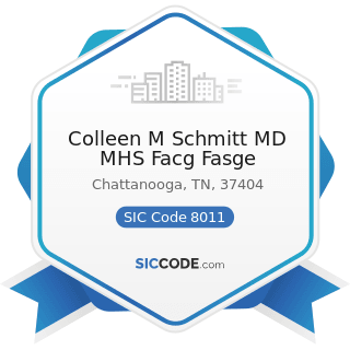 Colleen M Schmitt MD MHS Facg Fasge - SIC Code 8011 - Offices and Clinics of Doctors of Medicine