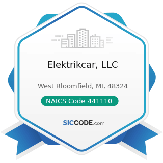 Elektrikcar, LLC - NAICS Code 441110 - New Car Dealers