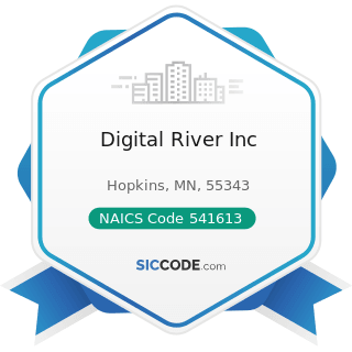 Digital River Inc - NAICS Code 541613 - Marketing Consulting Services