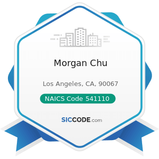 Morgan Chu - NAICS Code 541110 - Offices of Lawyers