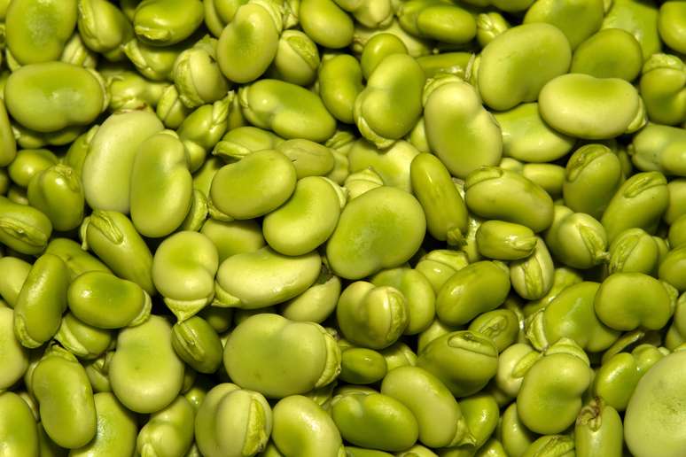 NAICS Code 111130 - Dry Pea and Bean Farming