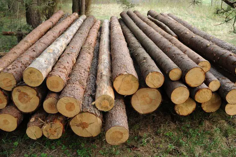 NAICS Code 113310 - Logging