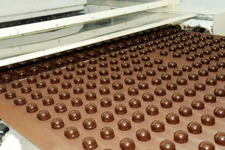 NAICS Code 311351 - Chocolate and Confectionery Manufacturing from Cacao Beans