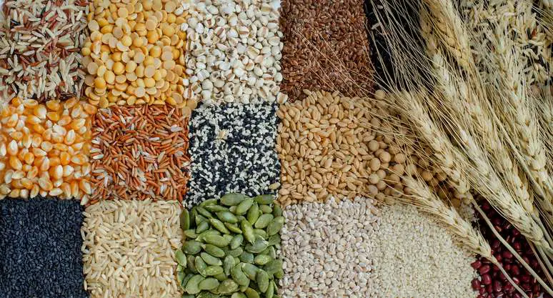 NAICS Code 424510 - Grain and Field Bean Merchant Wholesalers