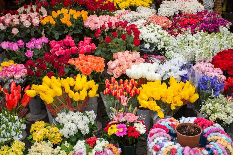 NAICS Code 424930 - Flower, Nursery Stock, and Florists' Supplies Merchant Wholesalers