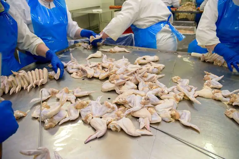 SIC Code 2015 - Poultry Slaughtering and Processing