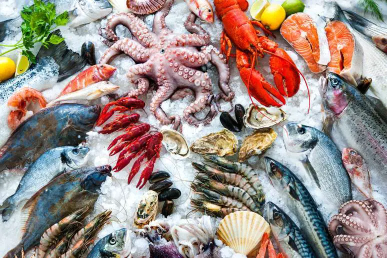 SIC Code 5146 - Fish and Seafoods