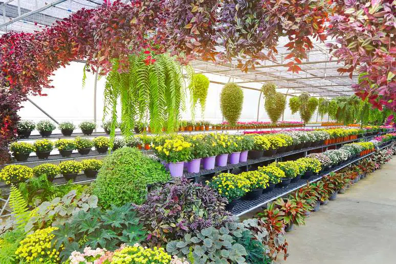 SIC Code 5261 - Retail Nurseries, Lawn and Garden Supply Stores